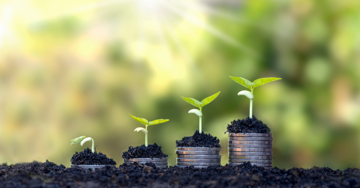 Four stacks of coins increasing in size with earth and a plant sprout on top of each stack