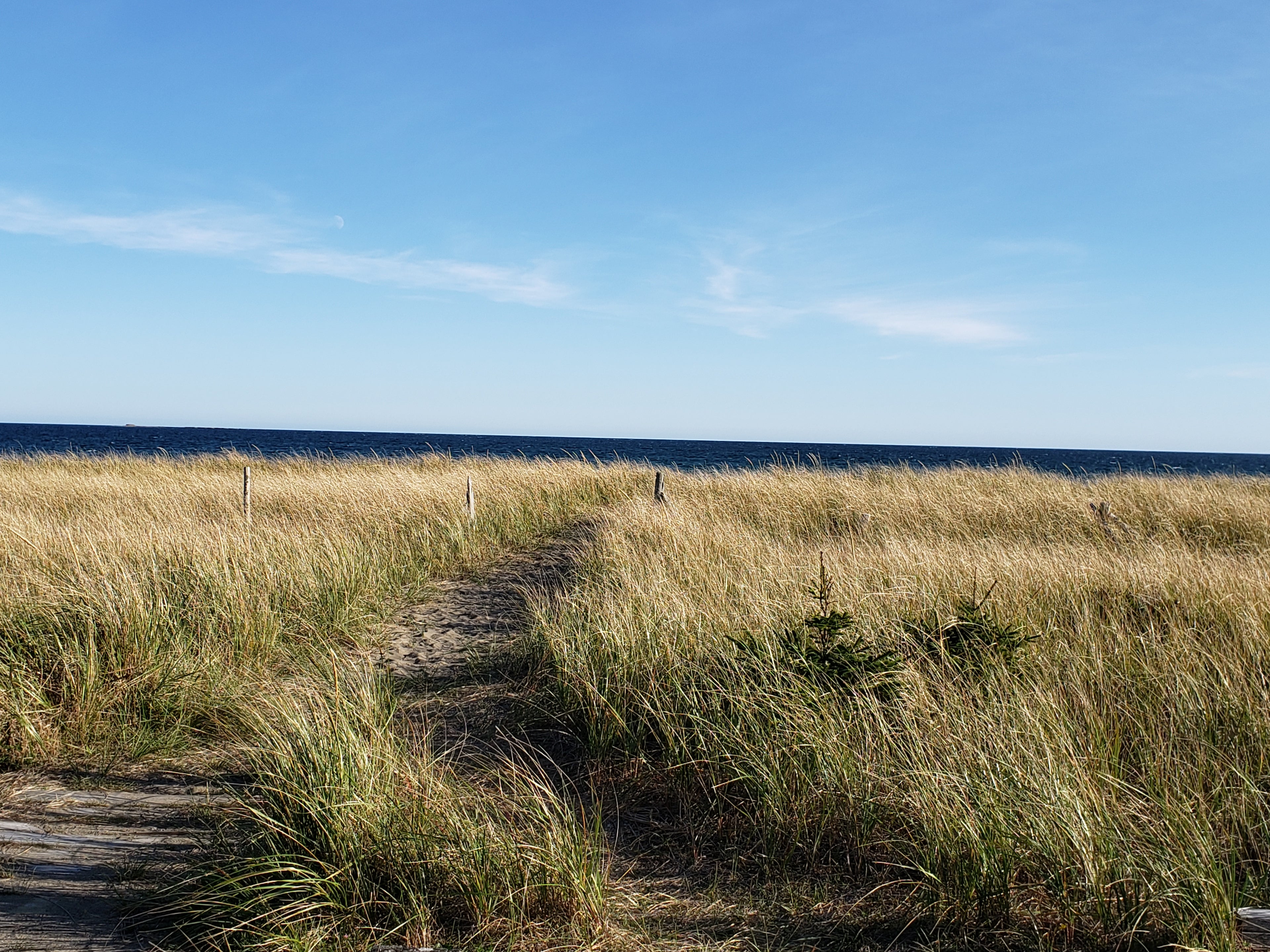 A path leading through grass to the ocean at Point Michaud Beach in Nova Scotia