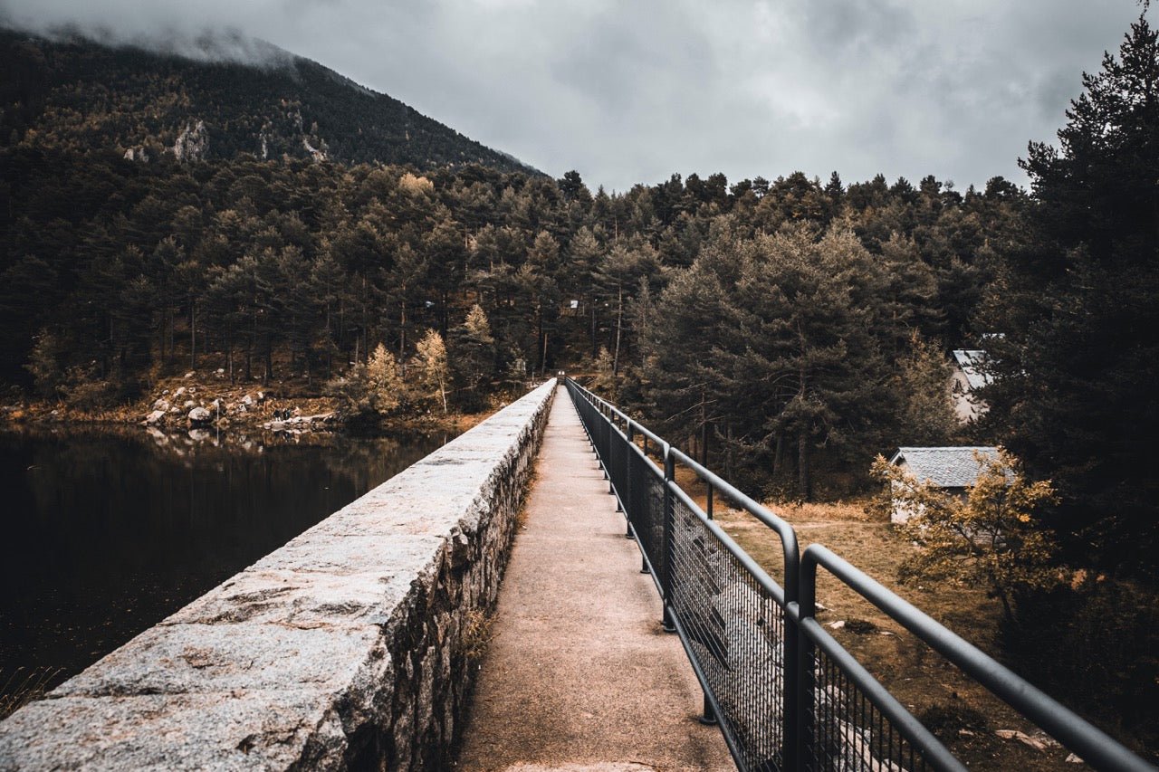 A walkway leading across a dam into the forest