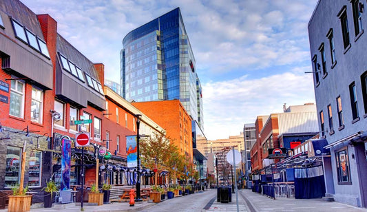 Nova Scotia's Export Development Program Can Fund Your Website, Branding, and Marketing - Here's How